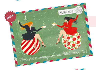 Plic ceai infuzie herbal cu arome de sarbatoare Delizia Meridiani 40g